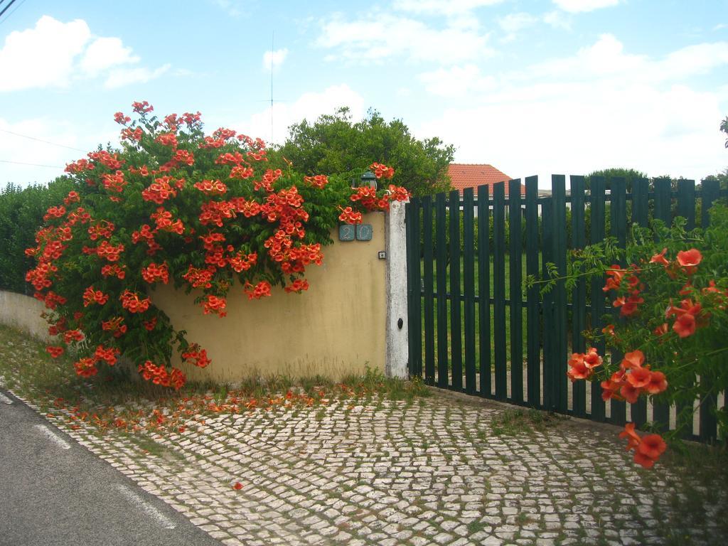 Casa Das Andorinhas Bed and Breakfast Palmela Εξωτερικό φωτογραφία